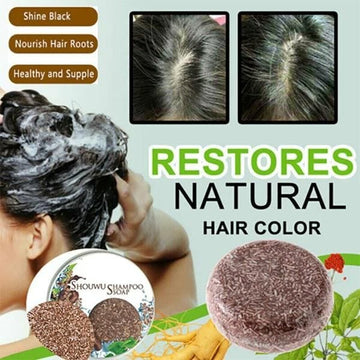 Organic Grey Reverse Shampoo Bar (Pack of 2)